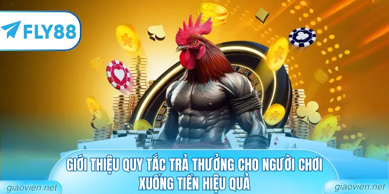 Đá Gà Chọi Thomo Đẳng Cấp Từ Các Bồ Gà Danh Tiếng Nhất 4 Giới thiệu quy tắc trả thưởng cho người chơi xuống tiền hiệu quả
