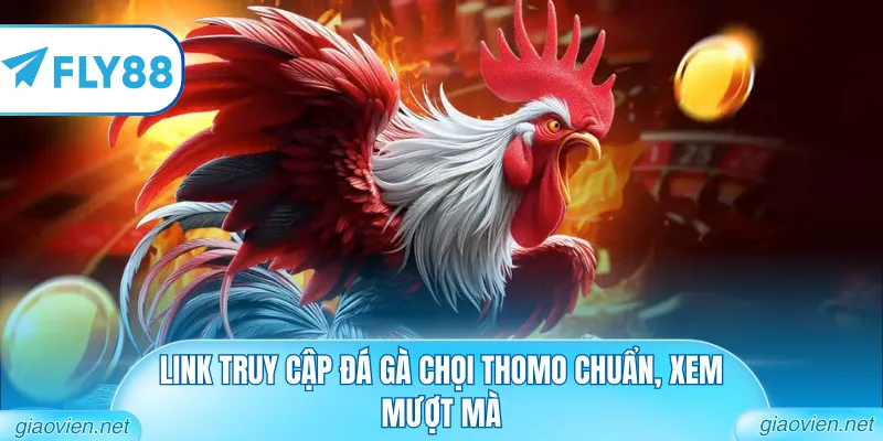 Đá Gà Chọi Thomo Đẳng Cấp Từ Các Bồ Gà Danh Tiếng Nhất 2 Link truy cập đá gà chọi Thomo chuẩn, xem mượt mà