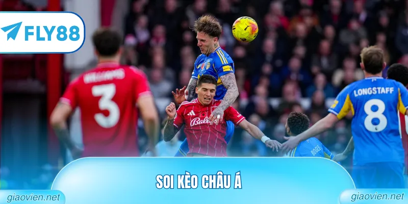 Soi Kèo Châu Á Chuẩn Xác Nhất Từ Chuyên Gia, Kiếm Thưởng Lớn 3 soi kèo châu á