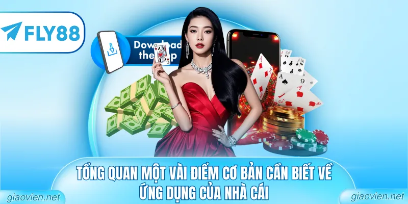 Tải App FLY88 - Nâng Tầm Trải Nghiệm Trên Smartphone 1 Tổng quan một vài điểm cơ bản cần biết về ứng dụng của nhà cái